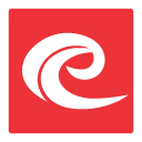 Logo WSS Brasil